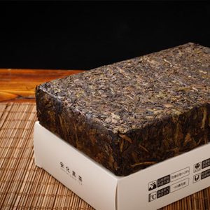 pl-009