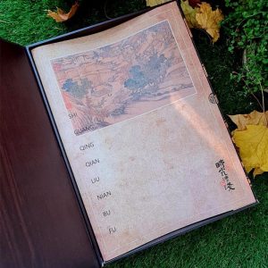 Подарункова книга чаю Шу пуер ломане срібло 360г 2020року від Фу Минши№9