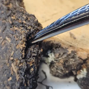 Чайне шило металеве Папуга №1