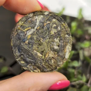 Чай Шен пуер 6г 2024р благословення Золотої змії Сяо То, поштучно №2