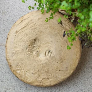 Чай Шен пуер 357г витриманий Лао Бан Чжан колекційний, сила скакунів №2