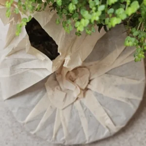 Чай Шен пуер 357г 2003року Півмісяць зі старого дерева Баньчжан №2