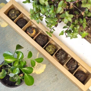 20251211_155532_результат