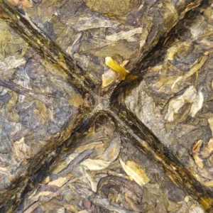 Чай Шен пуер 36г 2025року медовий Бань Чжан від Ченмунфан з Юньнань №4