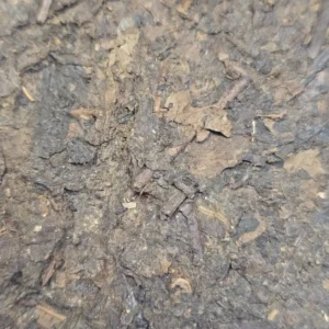 Чай шен пуер 225г 2006р колекційний, чайна цегла від Сягуань Туоча №4