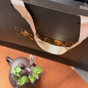 Подарунковий набір чаю 113г 2025р Три Скарби Китаю Black Edition №1