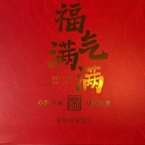 Подарунковий чайний набір 11 смаків Китаю 275г з чайником та 4 піалами №3