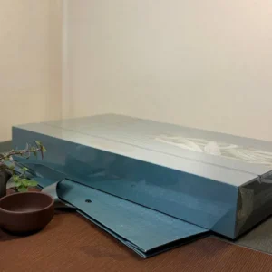 Подарунковий чайний набір білий чай Байхао Інь Чжень 180г 2026року срібні голки №4